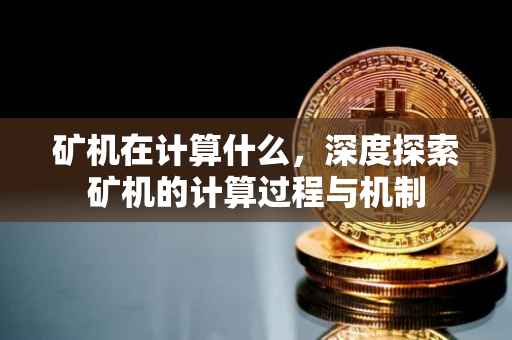 矿机在计算什么，深度探索矿机的计算过程与机制