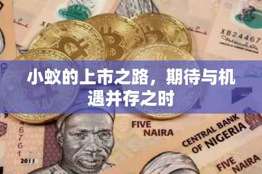 小蚁的上市之路，期待与机遇并存之时