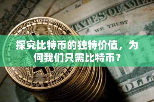 探究比特币的独特价值，为何我们只需比特币？