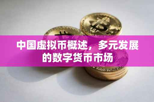 中国虚拟币概述，多元发展的数字货币市场