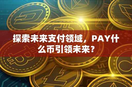 探索未来支付领域，PAY什么币引领未来？