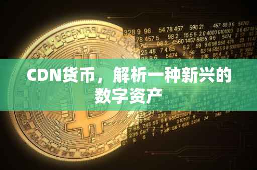 CDN货币，解析一种新兴的数字资产