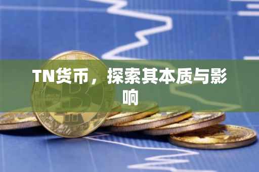 TN货币，探索其本质与影响