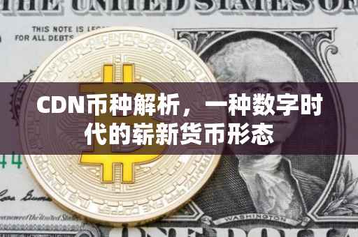 CDN币种解析，一种数字时代的崭新货币形态