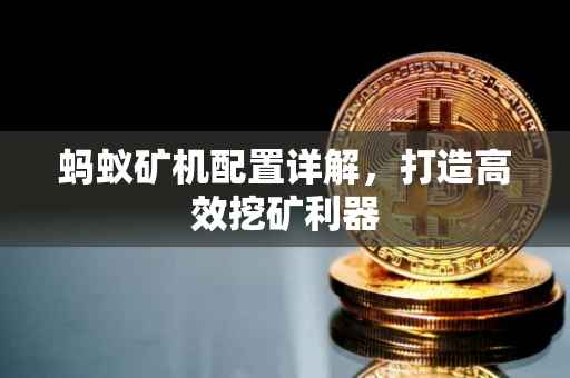 蚂蚁矿机配置详解，打造高效挖矿利器