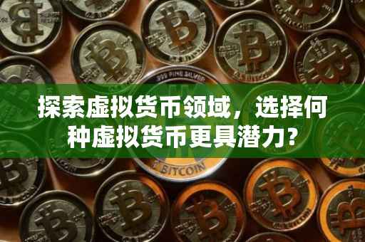 探索虚拟货币领域，选择何种虚拟货币更具潜力？