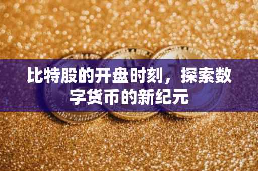比特股的开盘时刻，探索数字货币的新纪元