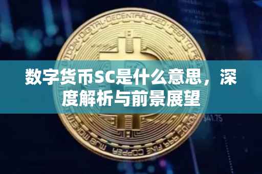 数字货币SC是什么意思，深度解析与前景展望