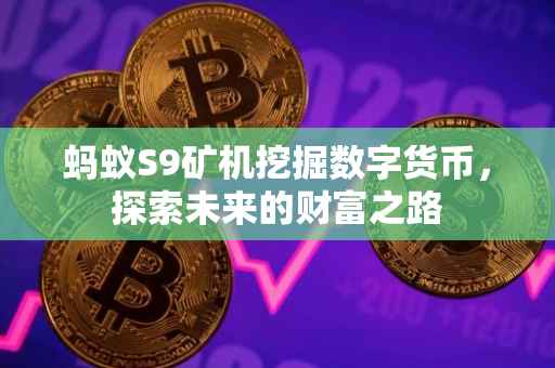 蚂蚁S9矿机挖掘数字货币，探索未来的财富之路