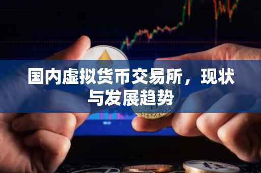国内虚拟货币交易所，现状与发展趋势