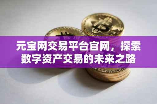 元宝网交易平台官网，探索数字资产交易的未来之路