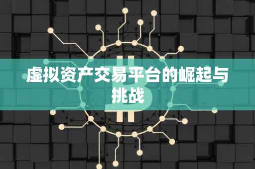 虚拟资产交易平台的崛起与挑战