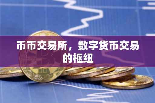 币币交易所，数字货币交易的枢纽