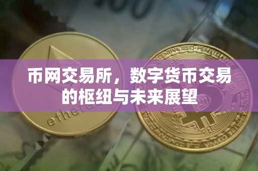 币网交易所，数字货币交易的枢纽与未来展望