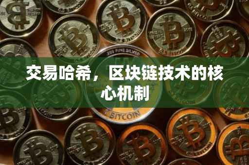 交易哈希，区块链技术的核心机制