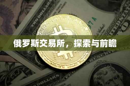 俄罗斯交易所，探索与前瞻