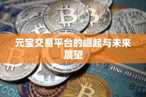 元宝交易平台的崛起与未来展望