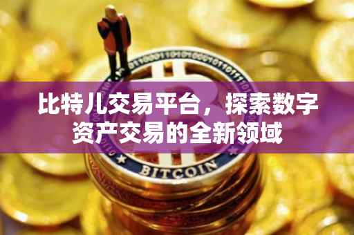 比特儿交易平台，探索数字资产交易的全新领域