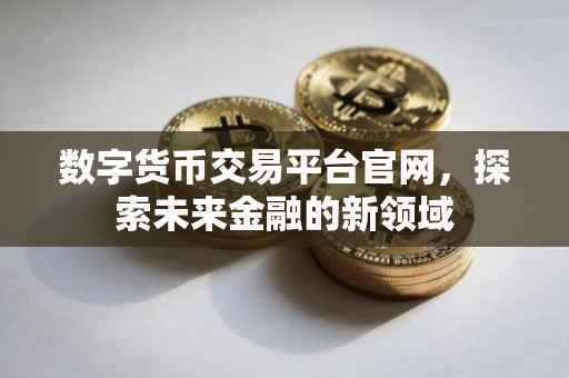 数字货币交易平台官网，探索未来金融的新领域