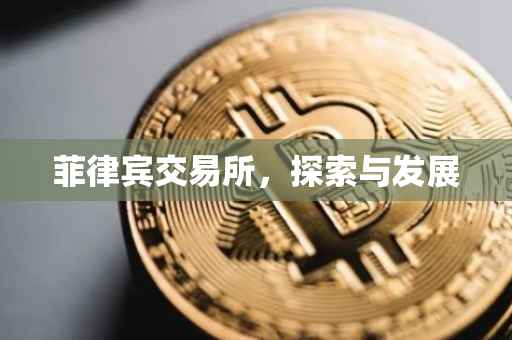 菲律宾交易所，探索与发展