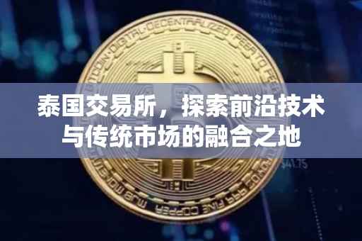 泰国交易所，探索前沿技术与传统市场的融合之地