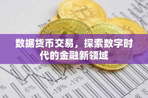 数据货币交易，探索数字时代的金融新领域
