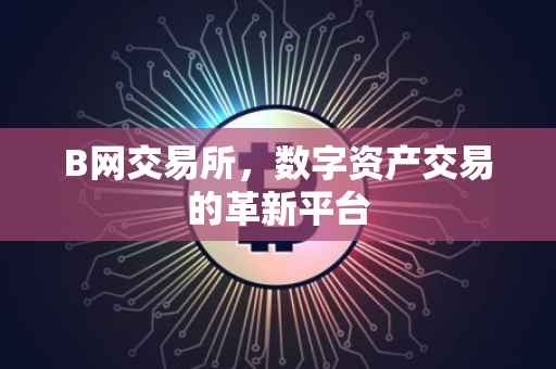 B网交易所，数字资产交易的革新平台