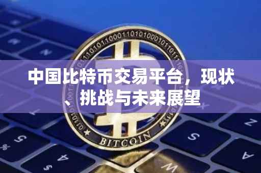 中国比特币交易平台，现状、挑战与未来展望