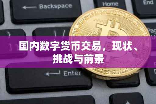 国内数字货币交易，现状、挑战与前景
