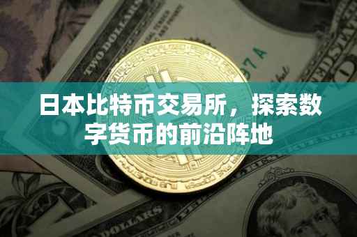 日本比特币交易所，探索数字货币的前沿阵地