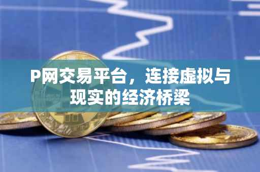 P网交易平台，连接虚拟与现实的经济桥梁