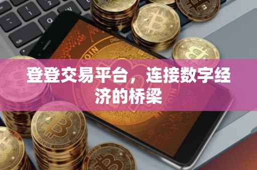 登登交易平台，连接数字经济的桥梁