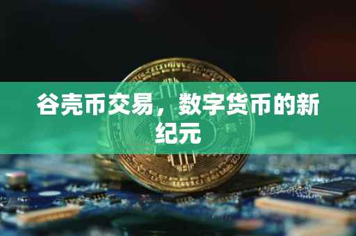 谷壳币交易，数字货币的新纪元