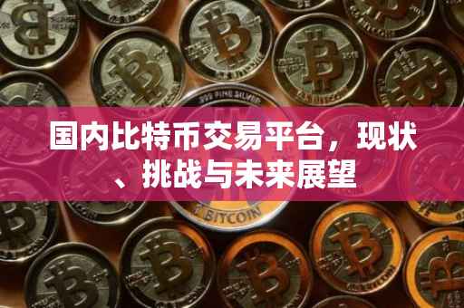 国内比特币交易平台，现状、挑战与未来展望