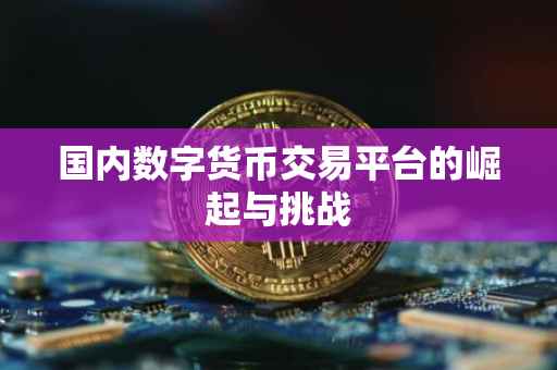 国内数字货币交易平台的崛起与挑战