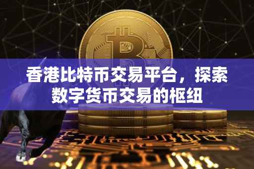香港比特币交易平台，探索数字货币交易的枢纽