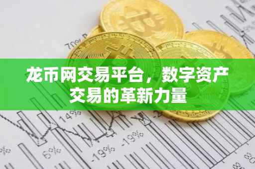 龙币网交易平台，数字资产交易的革新力量
