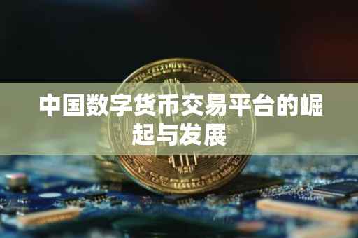 中国数字货币交易平台的崛起与发展