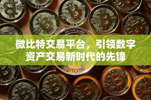 微比特交易平台，引领数字资产交易新时代的先锋