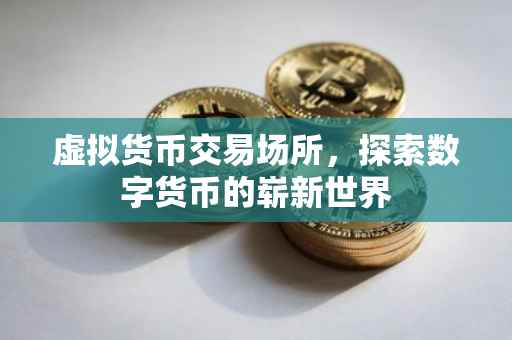 虚拟货币交易场所，探索数字货币的崭新世界