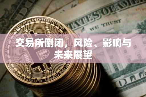 交易所倒闭，风险、影响与未来展望