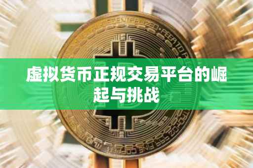 虚拟货币正规交易平台的崛起与挑战