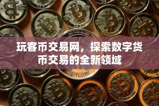 玩客币交易网，探索数字货币交易的全新领域