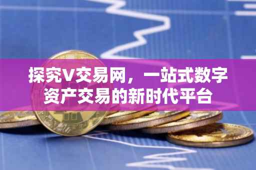 探究V交易网，一站式数字资产交易的新时代平台
