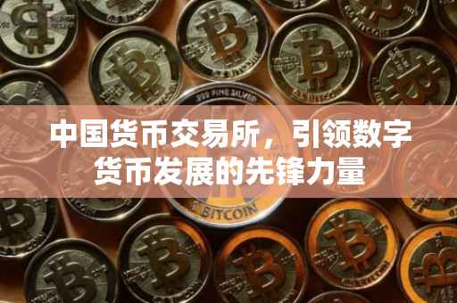 中国货币交易所，引领数字货币发展的先锋力量