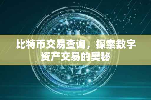 比特币交易查询，探索数字资产交易的奥秘