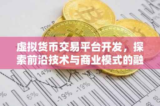 虚拟货币交易平台开发，探索前沿技术与商业模式的融合
