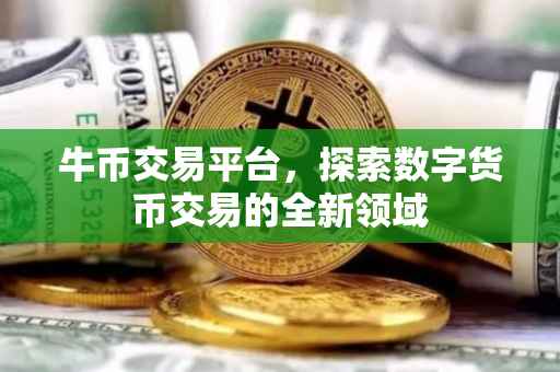 牛币交易平台，探索数字货币交易的全新领域