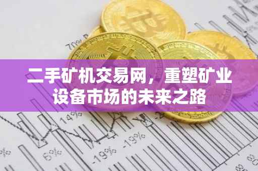 二手矿机交易网，重塑矿业设备市场的未来之路