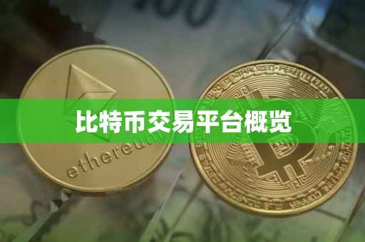 比特币交易平台概览
